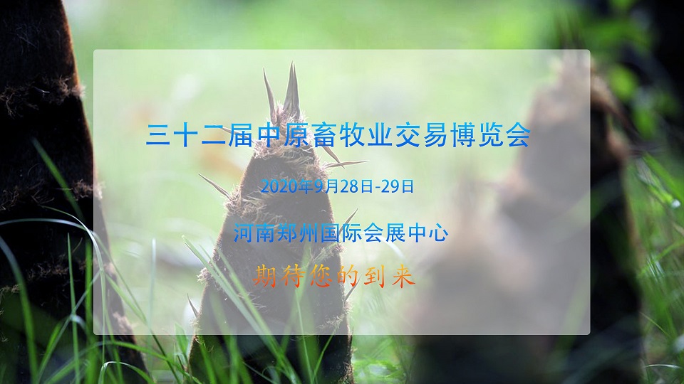 20200926鄭州.jpg