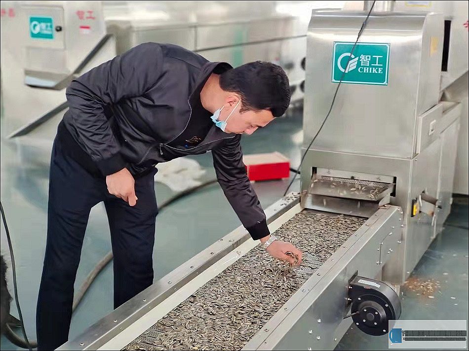 新疆塔城客戶來廠試機(jī)6米電磁流水線炒貨設(shè)備炒瓜子